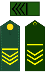 sargento mayor de segunda
