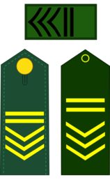sargento mayor de primera
