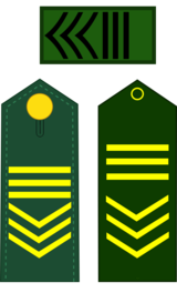 sargento ayudante