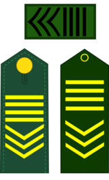 sargento supervisor