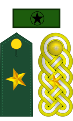 mayor