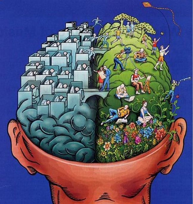 PSICOBIOLOGIA
