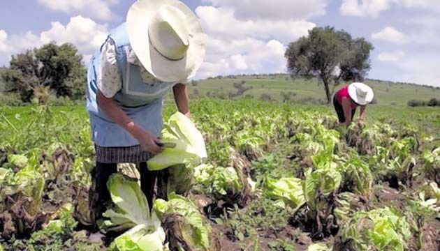 geografia diversa y priviligiada de la economia del ECUADOR