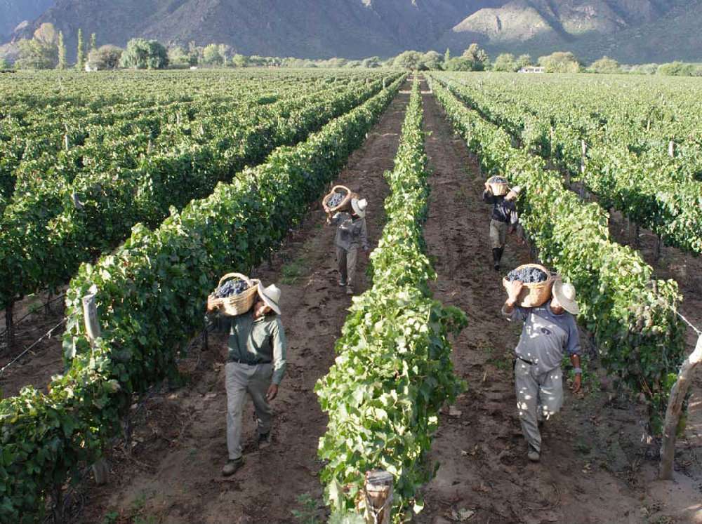 geografia diversa y priviligiada de la economia del ECUADOR