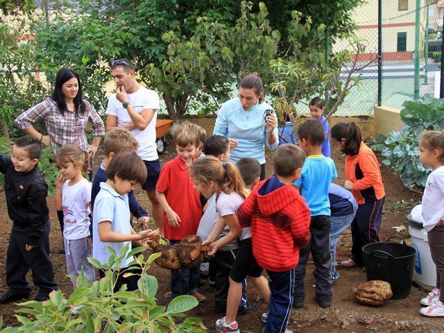 Habilidades para el Desarrollo Humano Integral