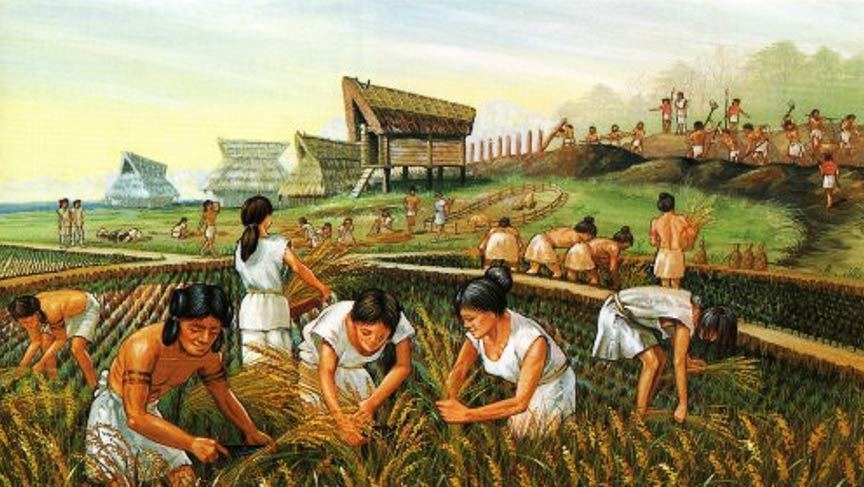 Hypothesis of the origin of agriculture