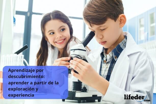 PRINCIPALES TEORÍAS EN LA ADQUISICIÓN DEL LENGUAJE