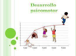 Desarrollo Corporal y Motricidad II