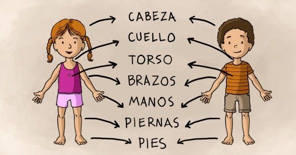 Desarrollo Corporal y Motricidad II