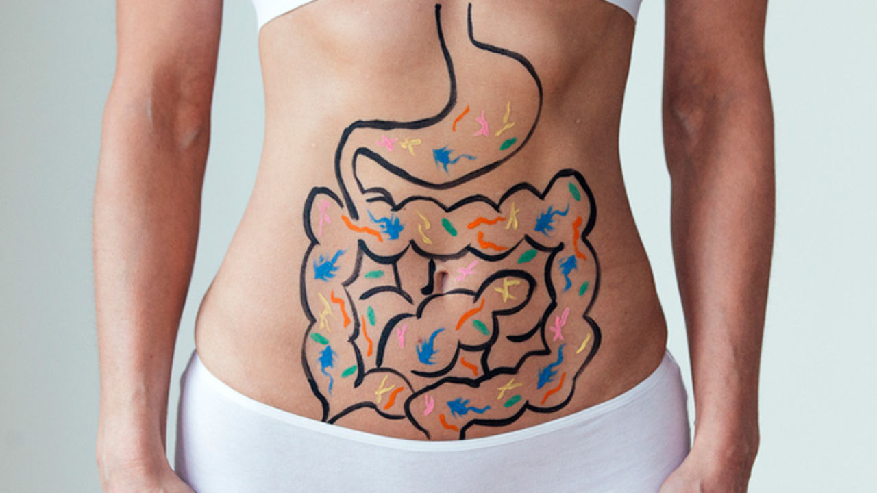 transformación de alimentos con la finalidad de absorber los nutrientes necesarios para el cuerpo y utilizadas por las células necesarias