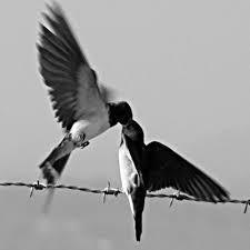 Image for question 49