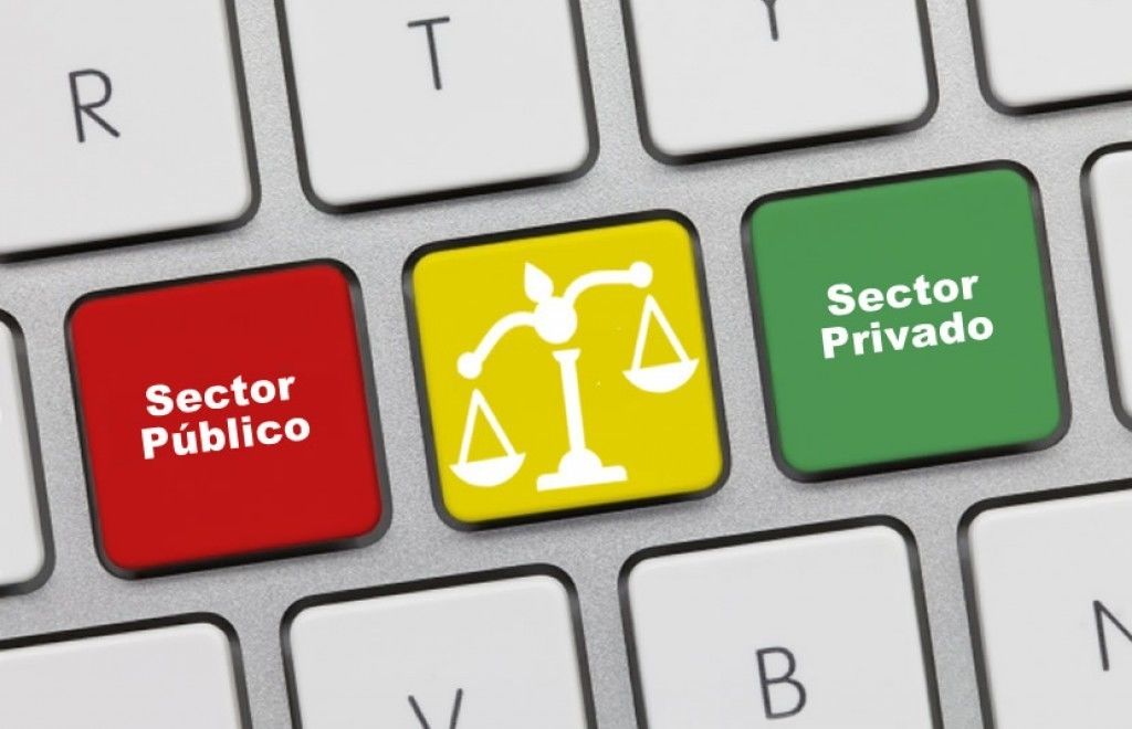 ¿Cuáles son los tipos de propiedades de una empresa?