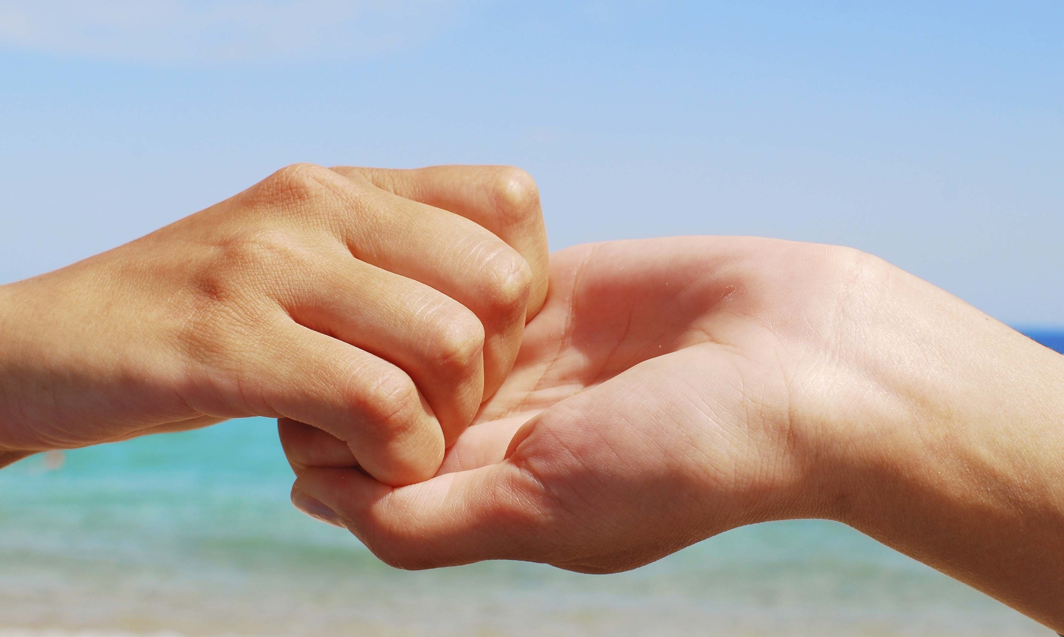 Infinitive : forgive Simple Past: forgave perdonar
