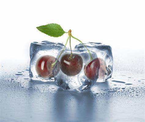 Infinitive : freeze Simple Past:froze congelar
