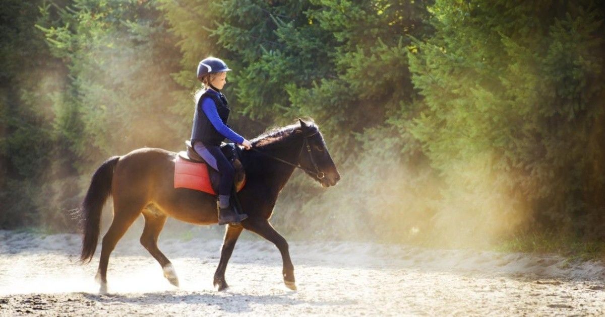 Infinitive : ride Simple Past: rode montar, ir