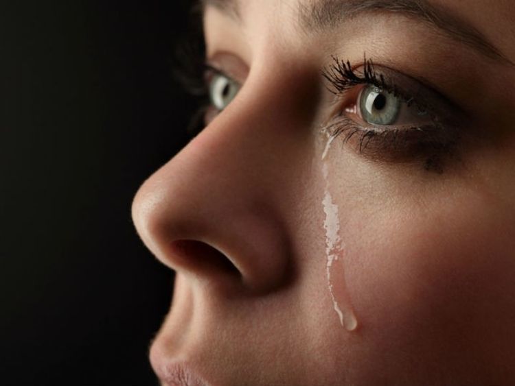 Infinitive: weep simple past: wept llorar