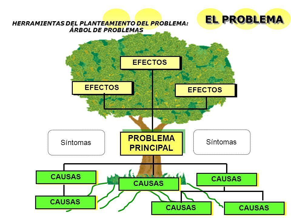Paradigmas y Enfoques de la Investigación.