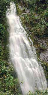POLITICA AMBIENTAL COLOMBIANA Y LICENCIAS AMBIENTALES