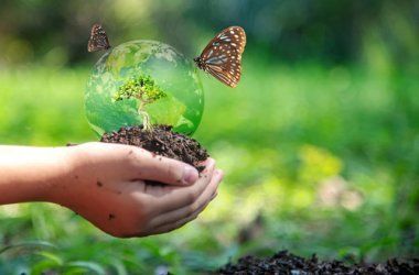 POLITICA AMBIENTAL COLOMBIANA Y LICENCIAS AMBIENTALES