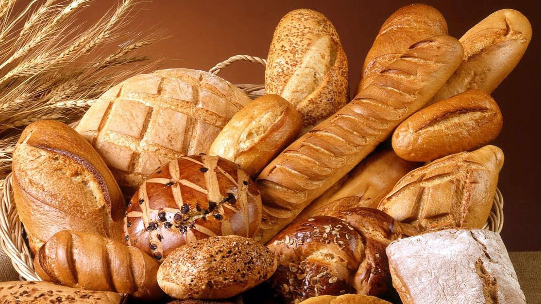 ¿Cuál sistema de costeo qué recomendaría a una empresa panadera?