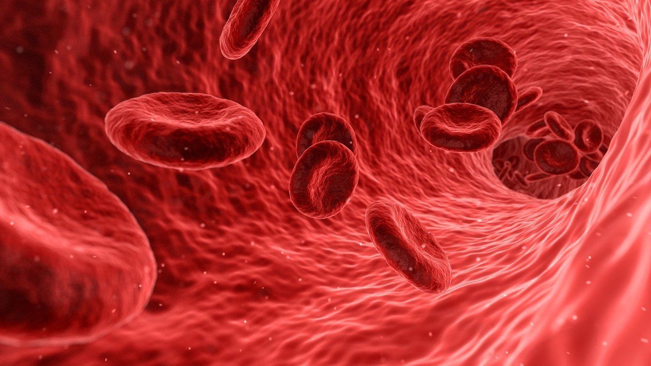 Sistema nervioso y sistema reproductivo, relación entre ambos.