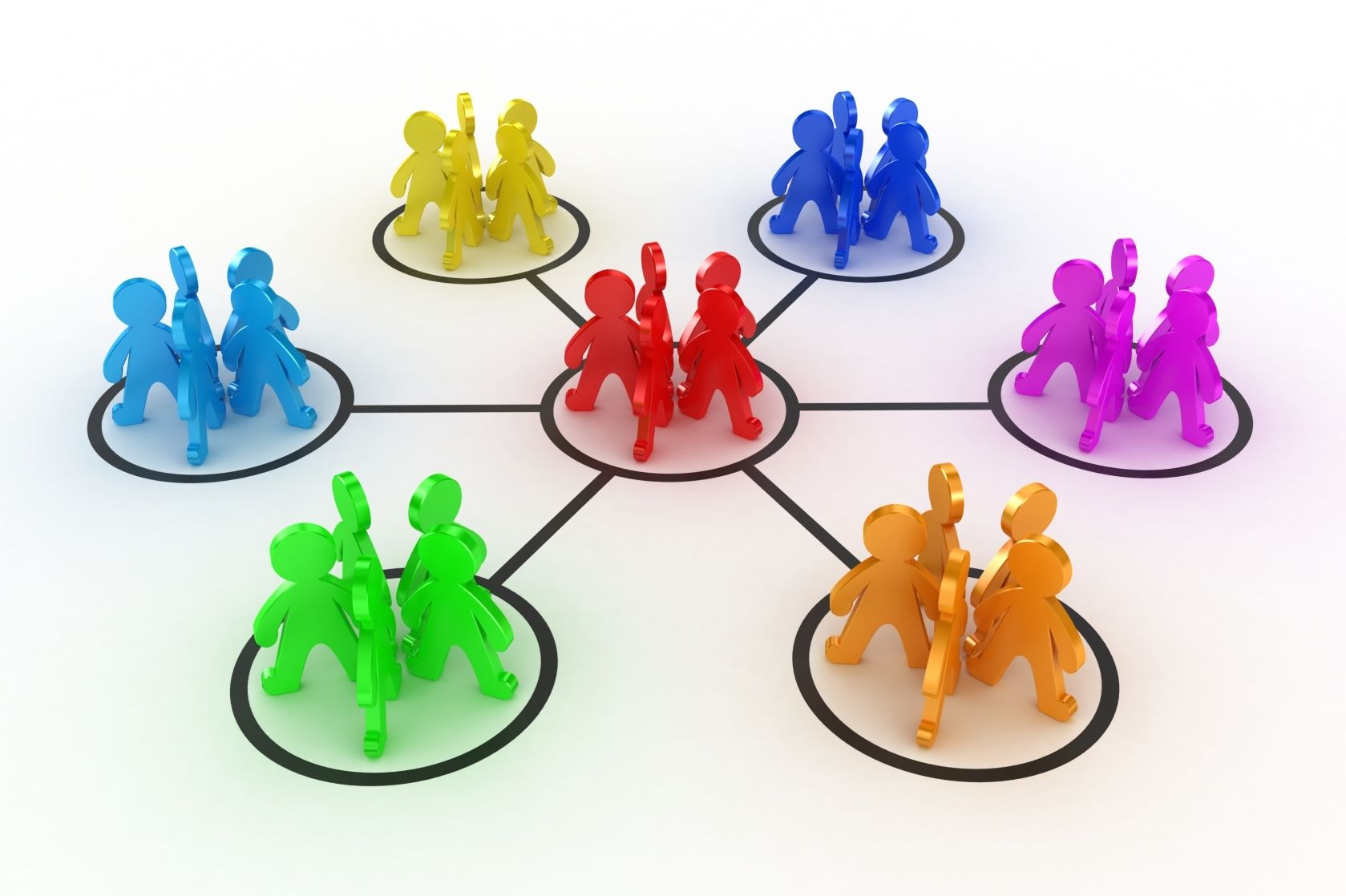 La organización de los grupos sociales.