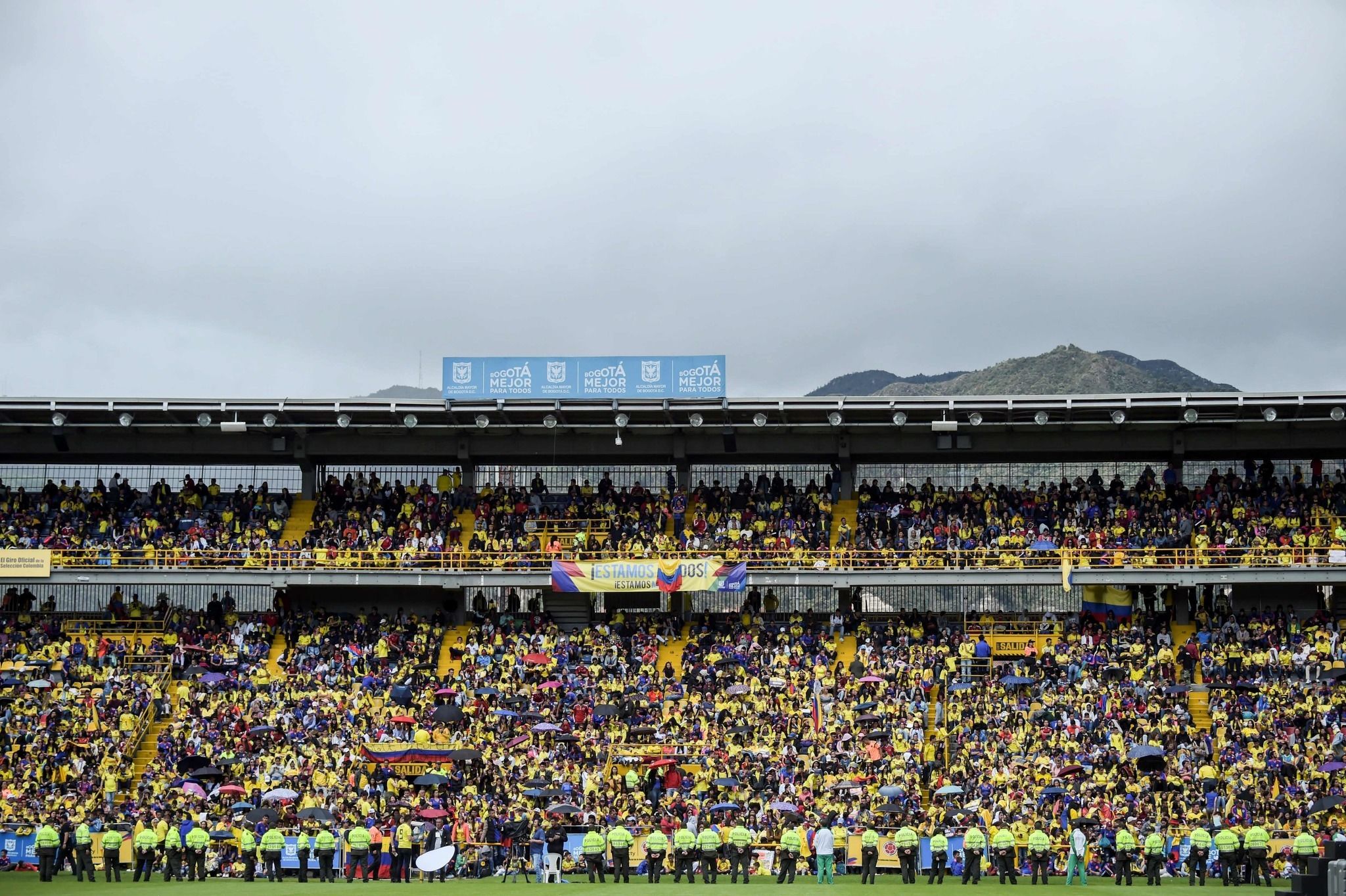 Recursos informacionales y tecnológicos en el entorno deportivo