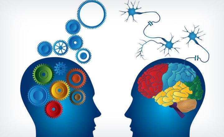 PRINCIPIOS, VALORES Y ÉTICA PROFESIONAL