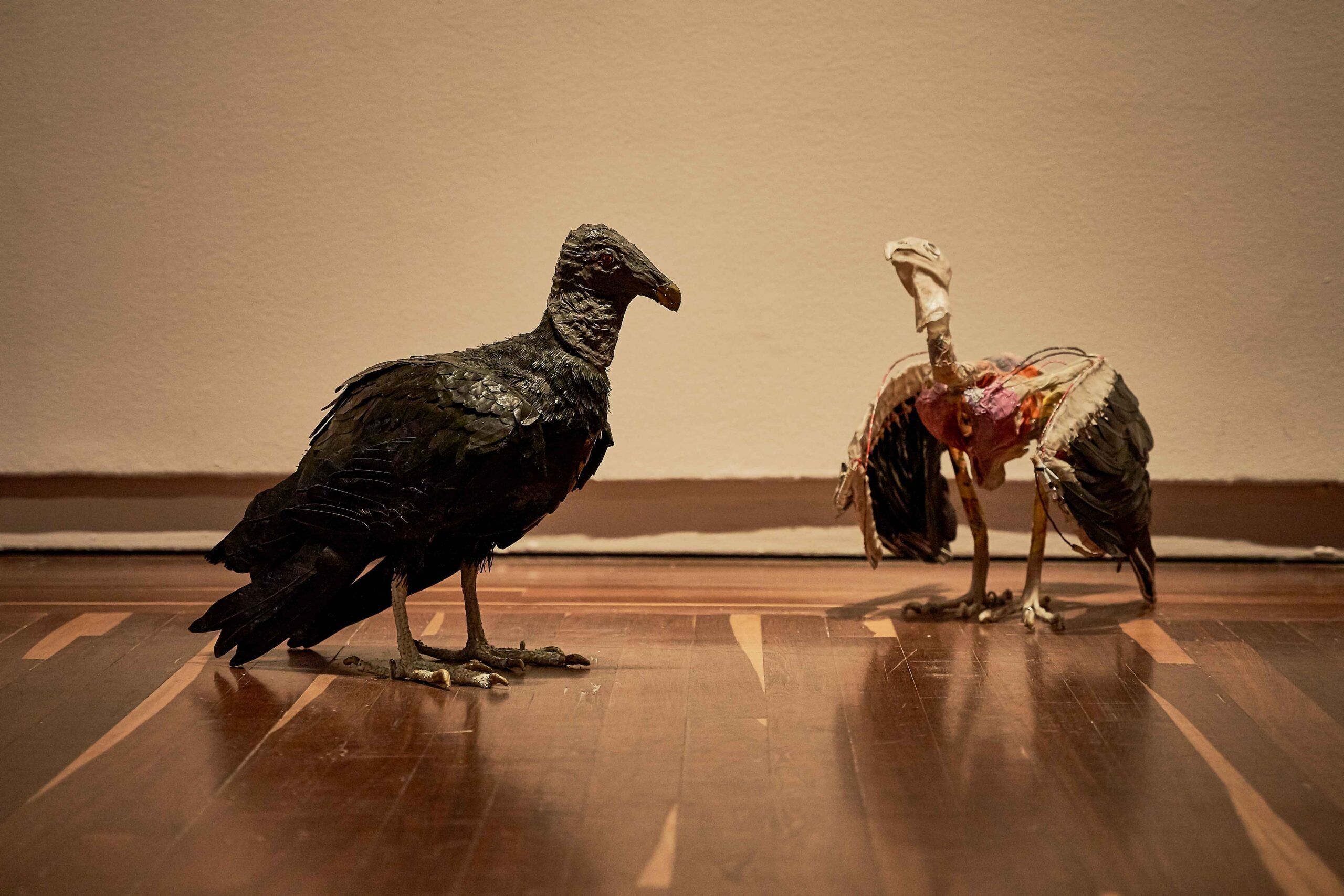 46 Salón Nacional de Artistas Inaudito Magdalena