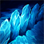 Braum R