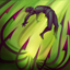 Zyra R