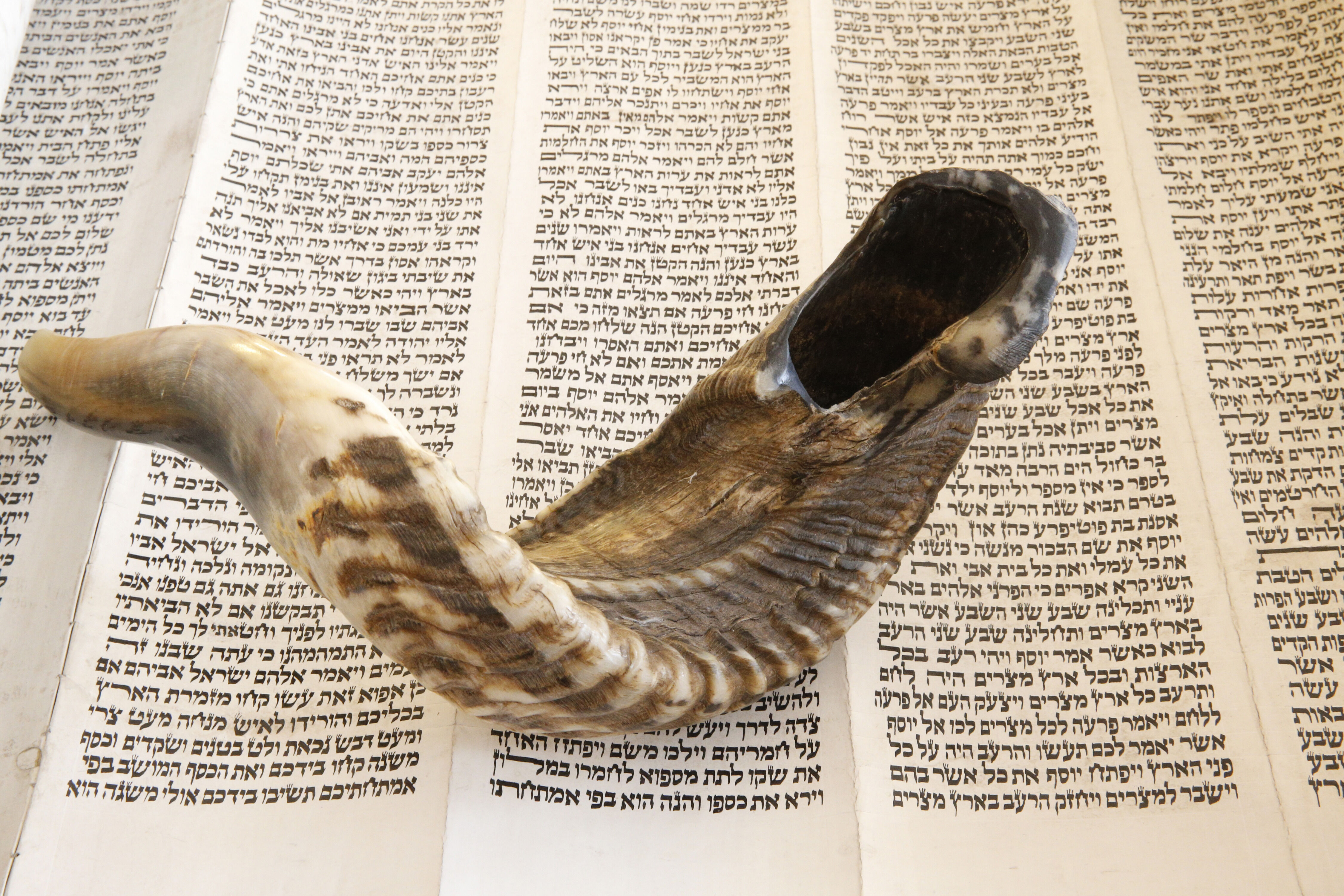 El shofar