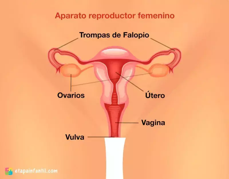 La conexión mente-cuerpo_MarthaTolentinoTenango_M16C3G32-029_JeffreyGargalloEstrada