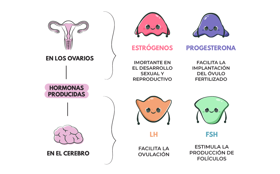 La conexión mente-cuerpo_MarthaTolentinoTenango_M16C3G32-029_JeffreyGargalloEstrada