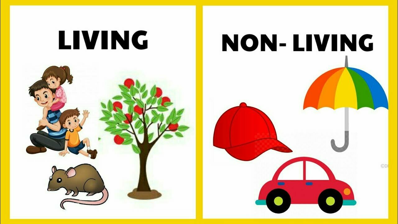 All living things are made of one or more cells.