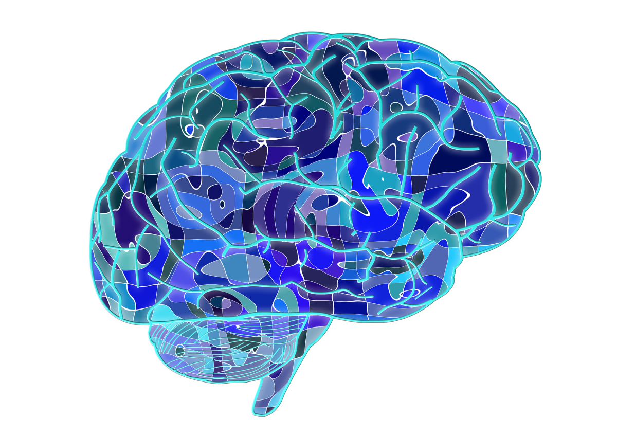 Relación entre el Sistema Nervioso y el Sistema Reproductivo