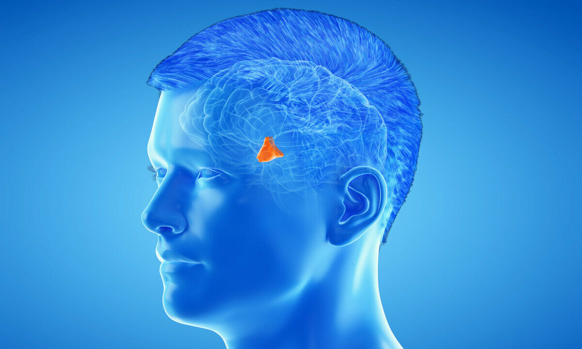 Sistema Nervioso y Sistema Reproductor