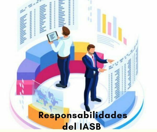 NICSP normas internacionales de contabilidad para el sector público