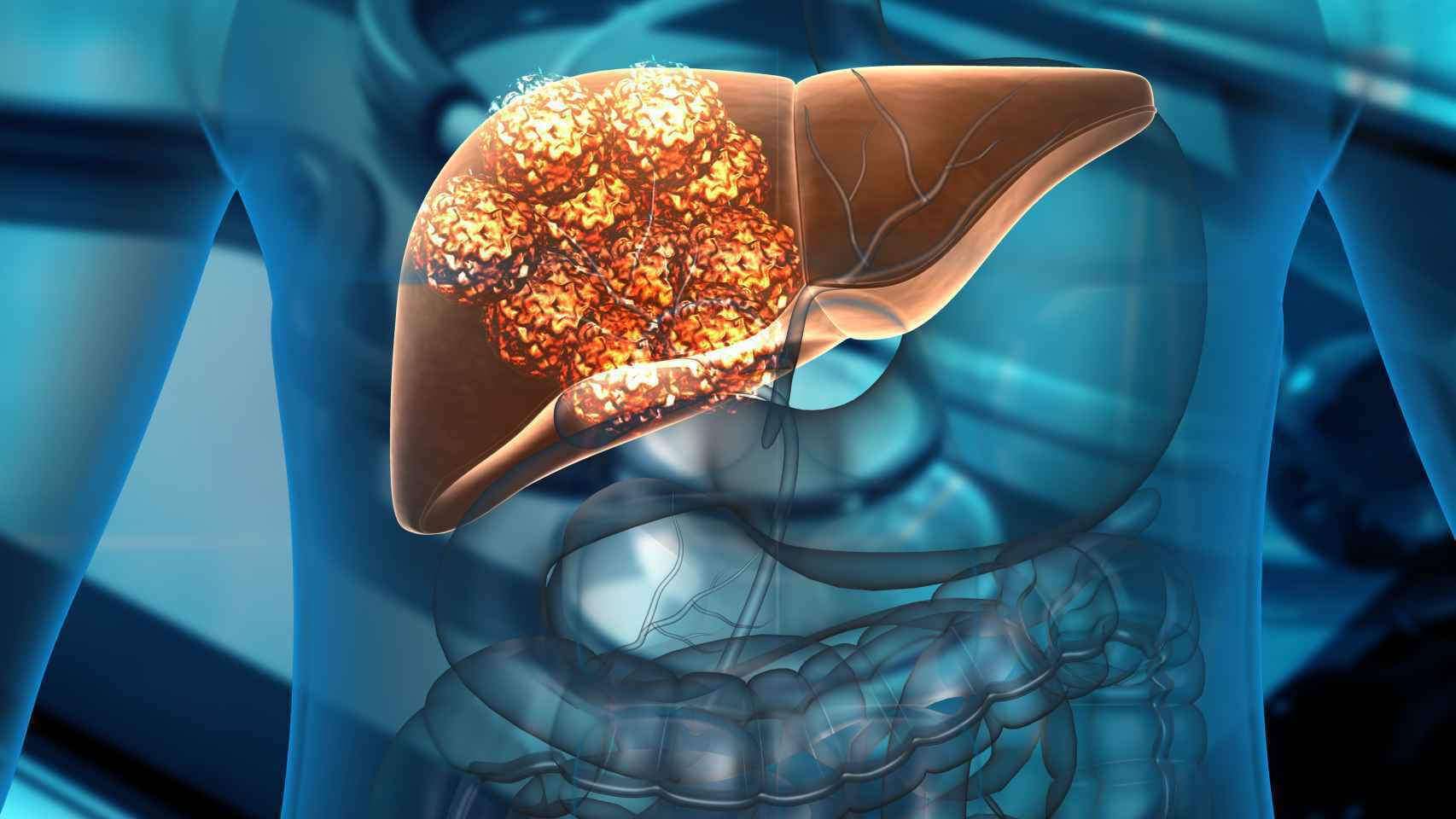Cáncer y regulación del ciclo celular