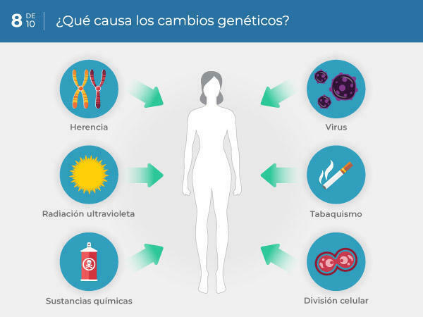 Cáncer y regulación del ciclo celular