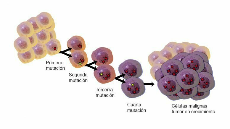 Cáncer y regulación del ciclo celular