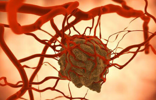 Cáncer y regulación del ciclo celular