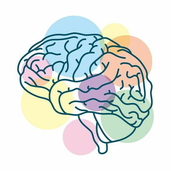 Neuropsicología del aprendizaje de matemáticas