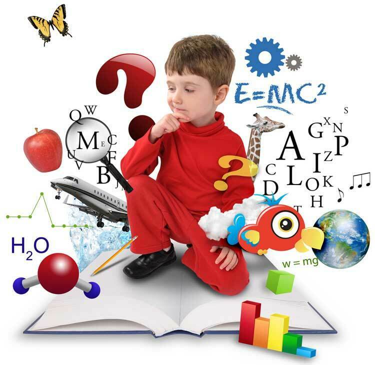 Actividad 2 - Enseñanza y aprendizaje de las matemáticas en niños y niñas de educación inicial.