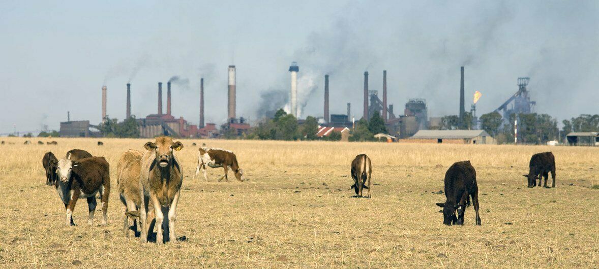 AGENTES CONTAMINANTES EN LA DINÁMICA MEDIO AMBIENTE HOMBRE