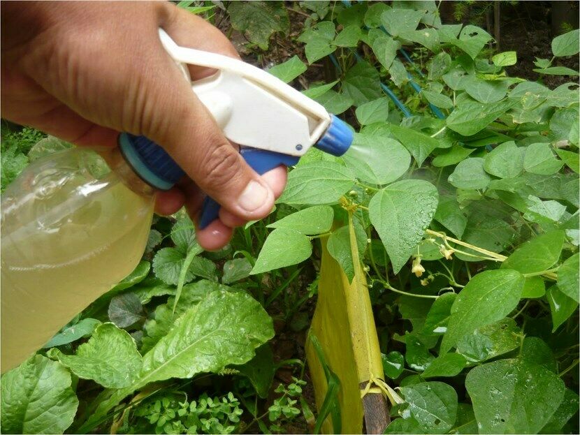 AGENTES CONTAMINANTES EN LA DINÁMICA MEDIO AMBIENTE HOMBRE