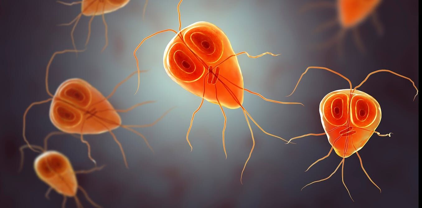 AGENTES CONTAMINANTES EN LA DINÁMICA MEDIO AMBIENTE HOMBRE