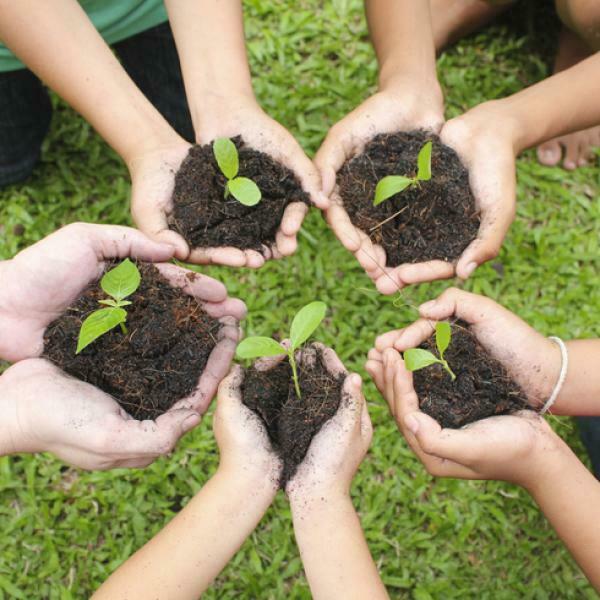 AGENTES CONTAMINANTES EN LA DINÁMICA MEDIO AMBIENTE HOMBRE