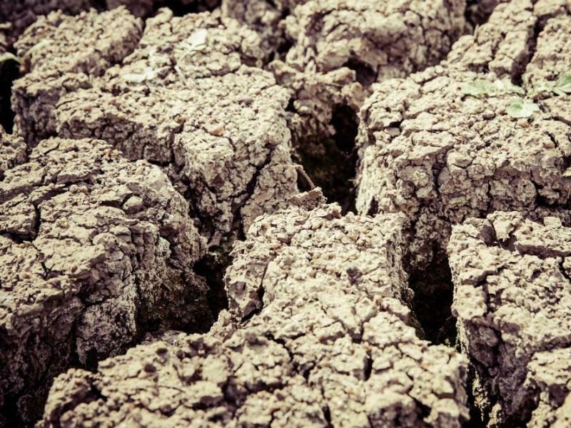 AGENTES CONTAMINANTES EN LA DINÁMICA MEDIO AMBIENTE HOMBRE