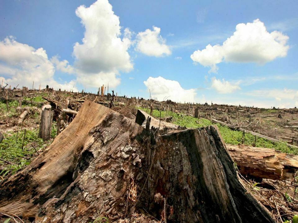 AGENTES CONTAMINANTES EN LA DINÁMICA MEDIO AMBIENTE HOMBRE